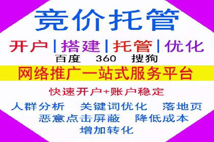 竞价推广策略解析：实战案例分析